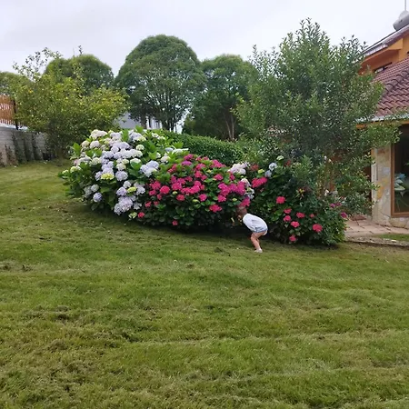 Piscina Climatizada - Todo El Ano- Playa De La Nora-chimenea- Barbacoa 度假居 Quintueles